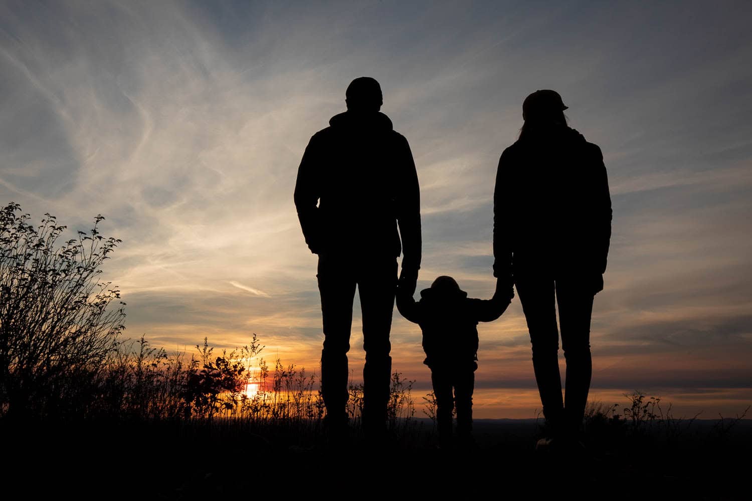 Silhouette of two adults and a child holding hands outdoors at sunset, with plants in the foreground and a cloudy sky in the background.