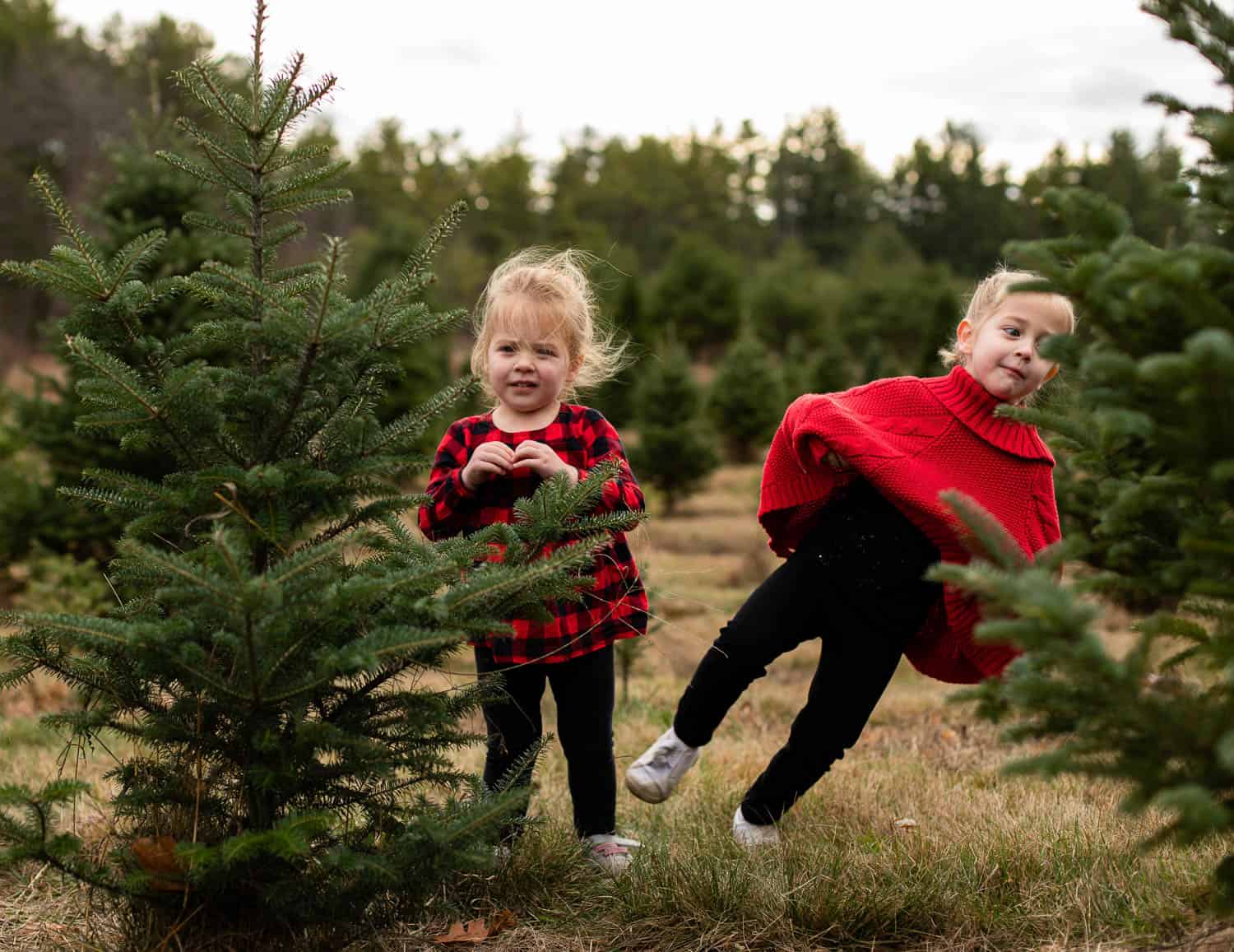 Two young children stand among small evergreen trees; one child poses with arms raised, and the other stands beside her, both wearing red and black clothing.