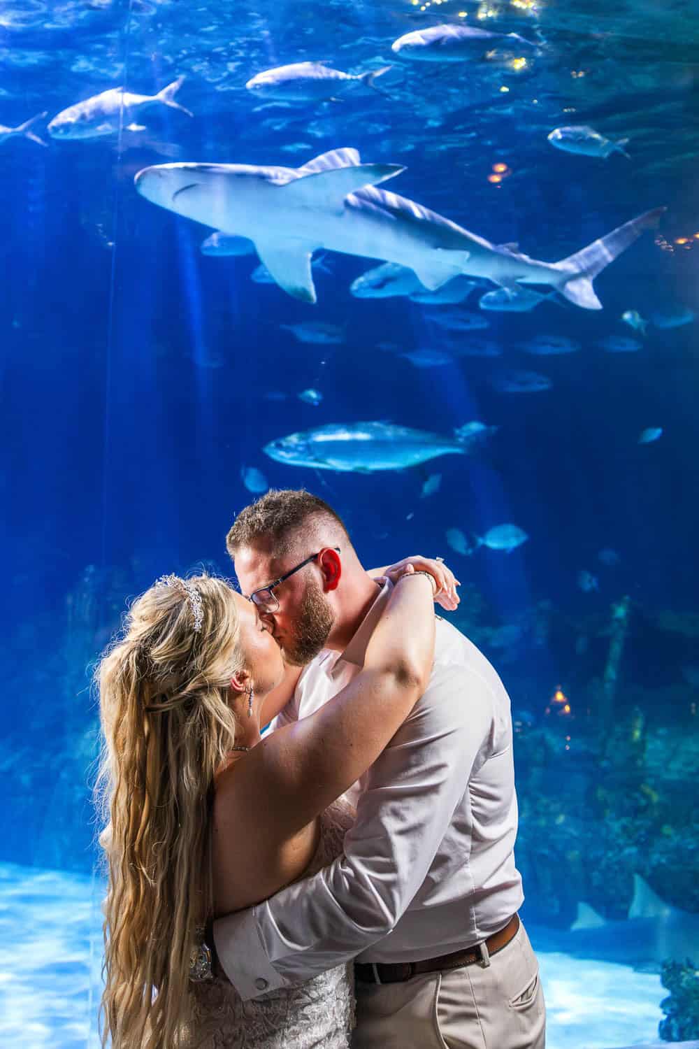 A couple embraces and kisses in front of a large aquarium tank with a shark and several fish swimming in the background.