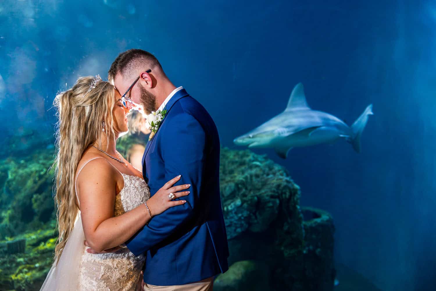 A bride and groom stand closely in an aquarium setting, with a shark swimming in the background.